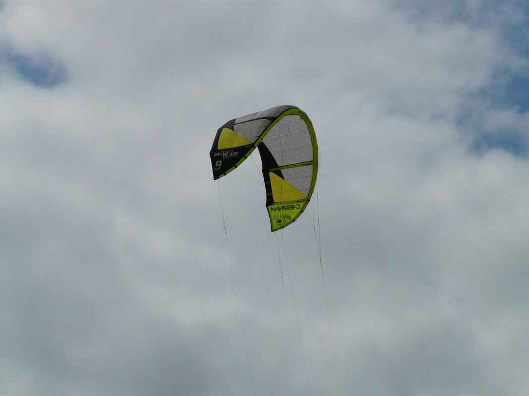 Change Windshield Wipers in 3 Simple Steps 1 Why Are Windshield Wipers Important?