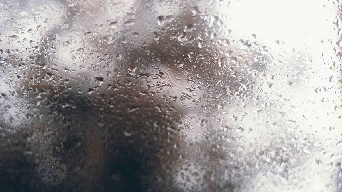 Why Should You Change Your Windshield Wipers Regularly?