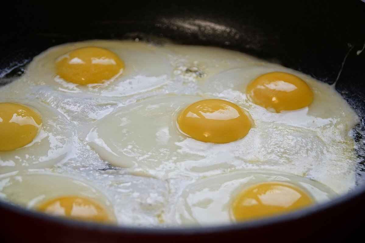 Charalabush Recipes for Beginners