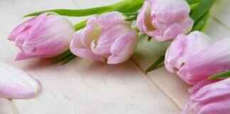 Charlotte 🤍 (@cocoyogi) – Cocoyogi: How Charlotte Built a Wellness & OnlyFans Brand & OnlyFans Leaks Charlotte 🤍 (@cocoyogi) – Cocoyogi: How Charlotte Built a Wellness & OnlyFans Brand & OnlyFans Leaks