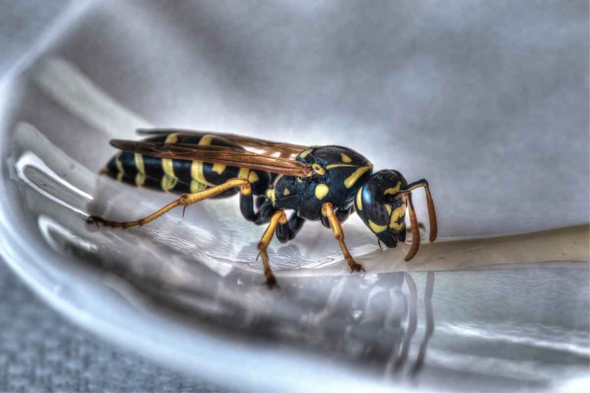 Charlotte Hornets vs. Cleveland Cavaliers: Top Performers and Stat Breakdown 6 Post-Game Analysis and Reactions