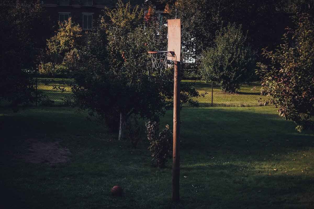 Charlotte Hornets vs. Miami Heat: Game Recap and Player Stats 5 Statistical Analysis