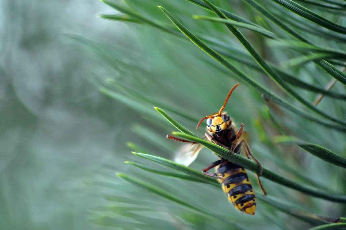 Charlotte Hornets vs. Orlando Magic: Player Stats Breakdown 3 Overview of the Orlando Magic Season Performance