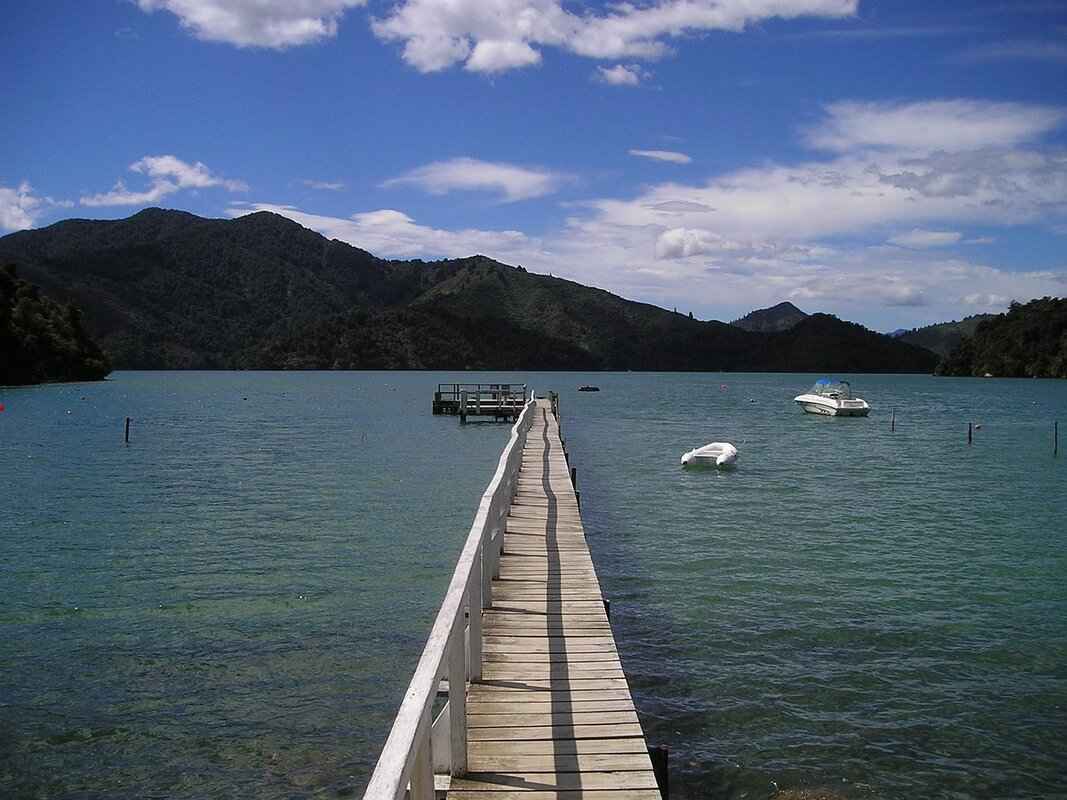 Charlotte Hornets vs. Washington Wizards: Key Performers and Stats 5 Player Performance Statistics