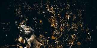 Charmeleon Pokémon Weaknesses, Best Counters, and Strategies for Ranked Matches Charmeleon Pokémon Weaknesses, Best Counters, and Strategies for Ranked Matches