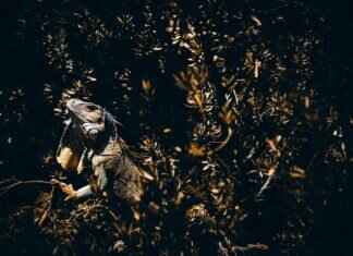 Charmeleon Pokémon Weaknesses, Best Counters, and Strategies for Ranked Matches Charmeleon Pokémon Weaknesses, Best Counters, and Strategies for Ranked Matches