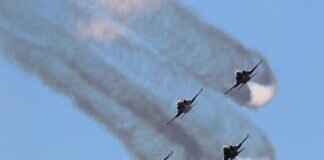 Chase is on the Case! A Deep Dive into the Most Popular Paw Patrol Pup Chase is on the Case! A Deep Dive into the Most Popular Paw Patrol Pup