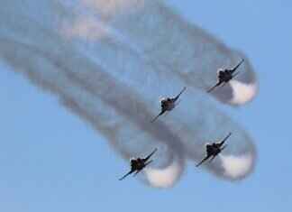 Chase is on the Case! A Deep Dive into the Most Popular Paw Patrol Pup Chase is on the Case! A Deep Dive into the Most Popular Paw Patrol Pup