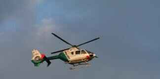 Chase’s Role in the Paw Patrol: The Police Pup’s Skills & Adventures Chase’s Role in the Paw Patrol: The Police Pup’s Skills & Adventures