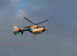 Chase’s Role in the Paw Patrol: The Police Pup’s Skills & Adventures Chase’s Role in the Paw Patrol: The Police Pup’s Skills & Adventures