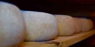 Cheese in Asian Cuisine: The Hidden Uses of Dairy in Certain Regions Cheese in Asian Cuisine: The Hidden Uses of Dairy in Certain Regions