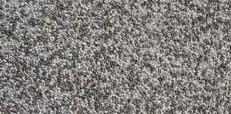 Chia Seed Benefits: Health Advantages & Where to Buy in the US Chia Seed Benefits: Health Advantages & Where to Buy in the US