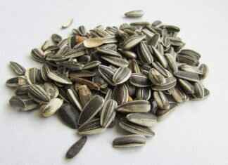 Chia Seed Beverage: The Healthiest Ways to Drink Chia Seeds Chia Seed Beverage: The Healthiest Ways to Drink Chia Seeds