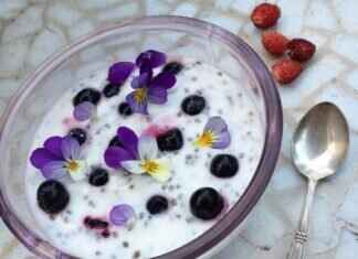 Chia Seed Meal: A Nutrient-Dense Alternative to Flour Chia Seed Meal: A Nutrient-Dense Alternative to Flour