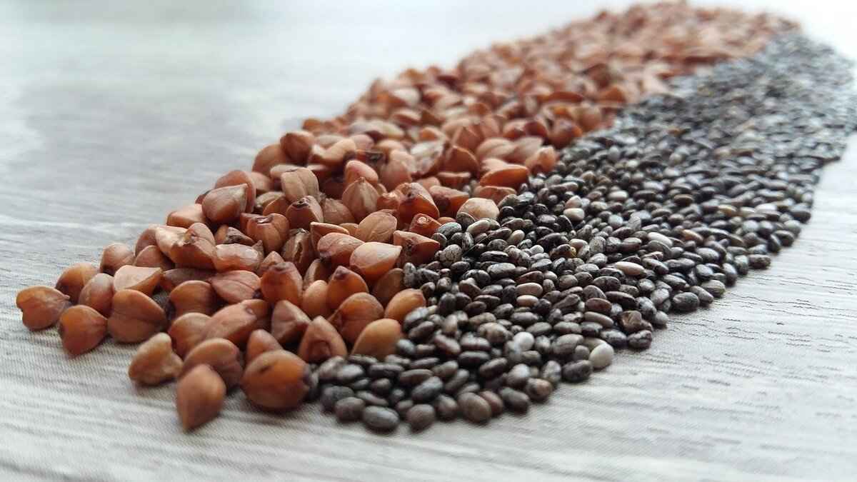 Chia Seed Protein Pudding: A Muscle-Building Snack You’ll Love 1 What Are Chia Seeds?