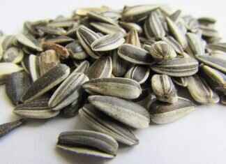 Chia Seed Pudding for Breakfast: A Healthy and Filling Option Chia Seed Pudding for Breakfast: A Healthy and Filling Option