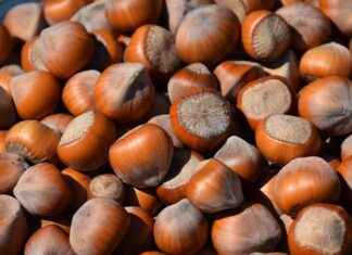 Chia Seed Pudding with Coconut Milk: The Creamiest Recipe Ever Chia Seed Pudding with Coconut Milk: The Creamiest Recipe Ever