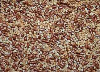 Chia Seed Water Recipe: The Ultimate Hydrating Drink Guide Chia Seed Water Recipe: The Ultimate Hydrating Drink Guide