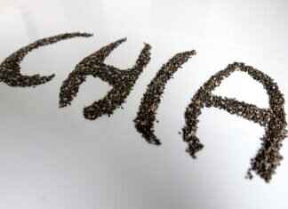 Chia Seeds and Water: Why You Should Soak Them Before Eating Chia Seeds and Water: Why You Should Soak Them Before Eating