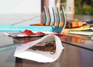 Chia Seeds at Publix: Where to Find Them and How Much They Cost Chia Seeds at Publix: Where to Find Them and How Much They Cost