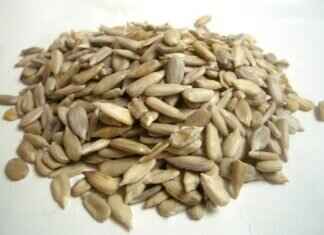 Chia Seeds Fiber: The Key to Better Digestion & Gut Health Chia Seeds Fiber: The Key to Better Digestion & Gut Health