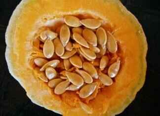 Chia Seeds Health Benefits: A Natural Superfood for Wellness Chia Seeds Health Benefits: A Natural Superfood for Wellness