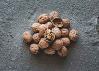 Chia Seeds in Yogurt: A Simple & Delicious Way to Eat Them Chia Seeds in Yogurt: A Simple & Delicious Way to Eat Them