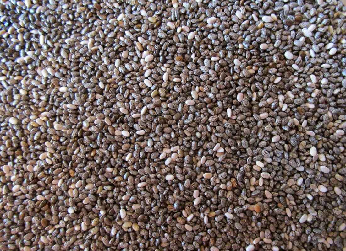 What Are Chia Seeds?