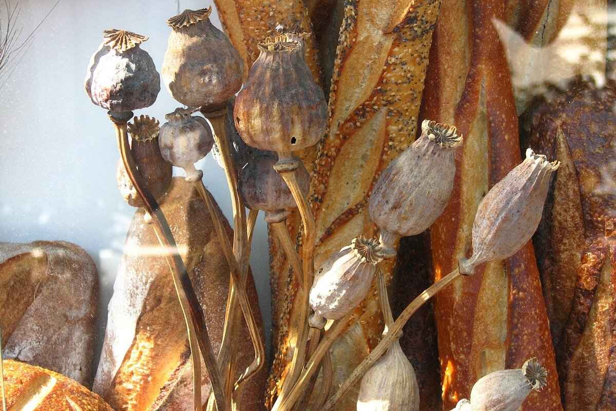 What Are Chia Seeds?