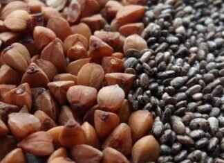 Chia Seeds on Amazon: The Best-Rated Brands You Can Buy Chia Seeds on Amazon: The Best-Rated Brands You Can Buy