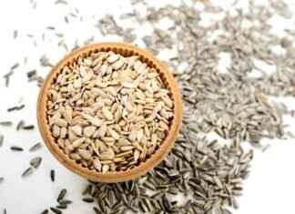 Chia Seeds Protein: A Plant-Based Powerhouse for Muscle Growth Chia Seeds Protein: A Plant-Based Powerhouse for Muscle Growth