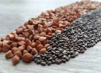 Chia Seeds Protein: A Plant-Based Powerhouse for Your Diet Chia Seeds Protein: A Plant-Based Powerhouse for Your Diet