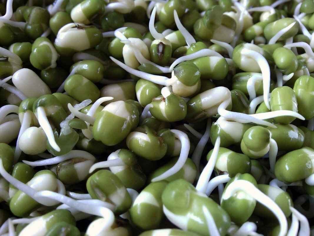 Chia Seeds Recipes: 10 Easy & Tasty Ways to Use Them 6 How to Incorporate Chia Seeds into Salads?