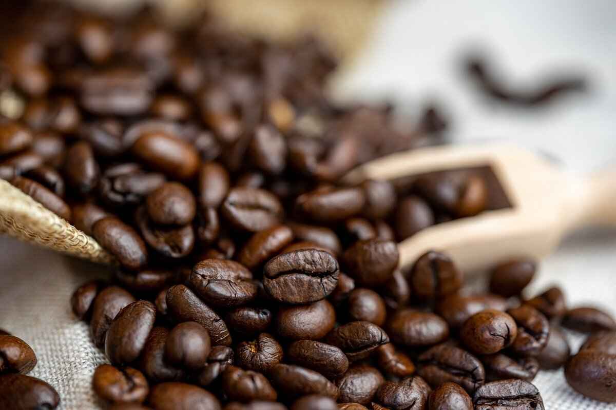 Chia Seeds Recipes: Easy and Healthy Ways to Enjoy Them 5 What Are the Best Ways to Store Chia Seeds?