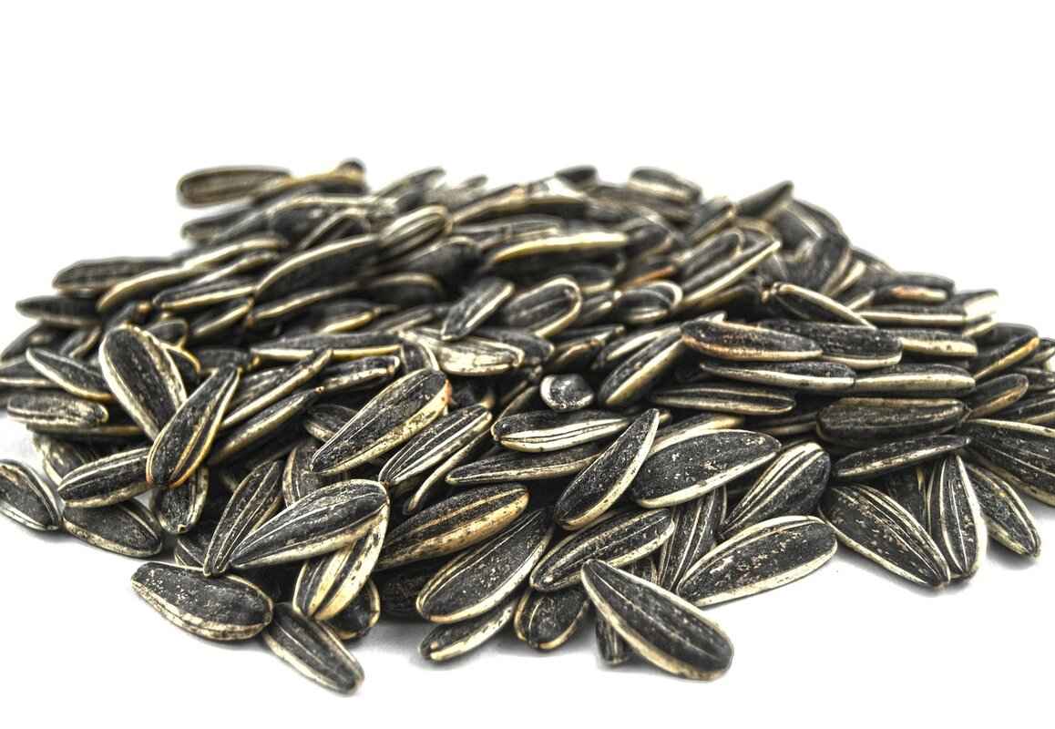 Can Chia Seeds Cause Digestive Issues?
