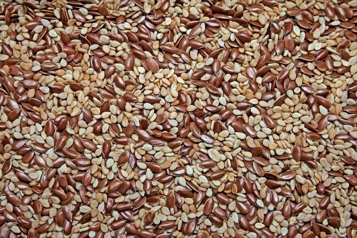 Are There Any Risks Associated with Chia Seeds?