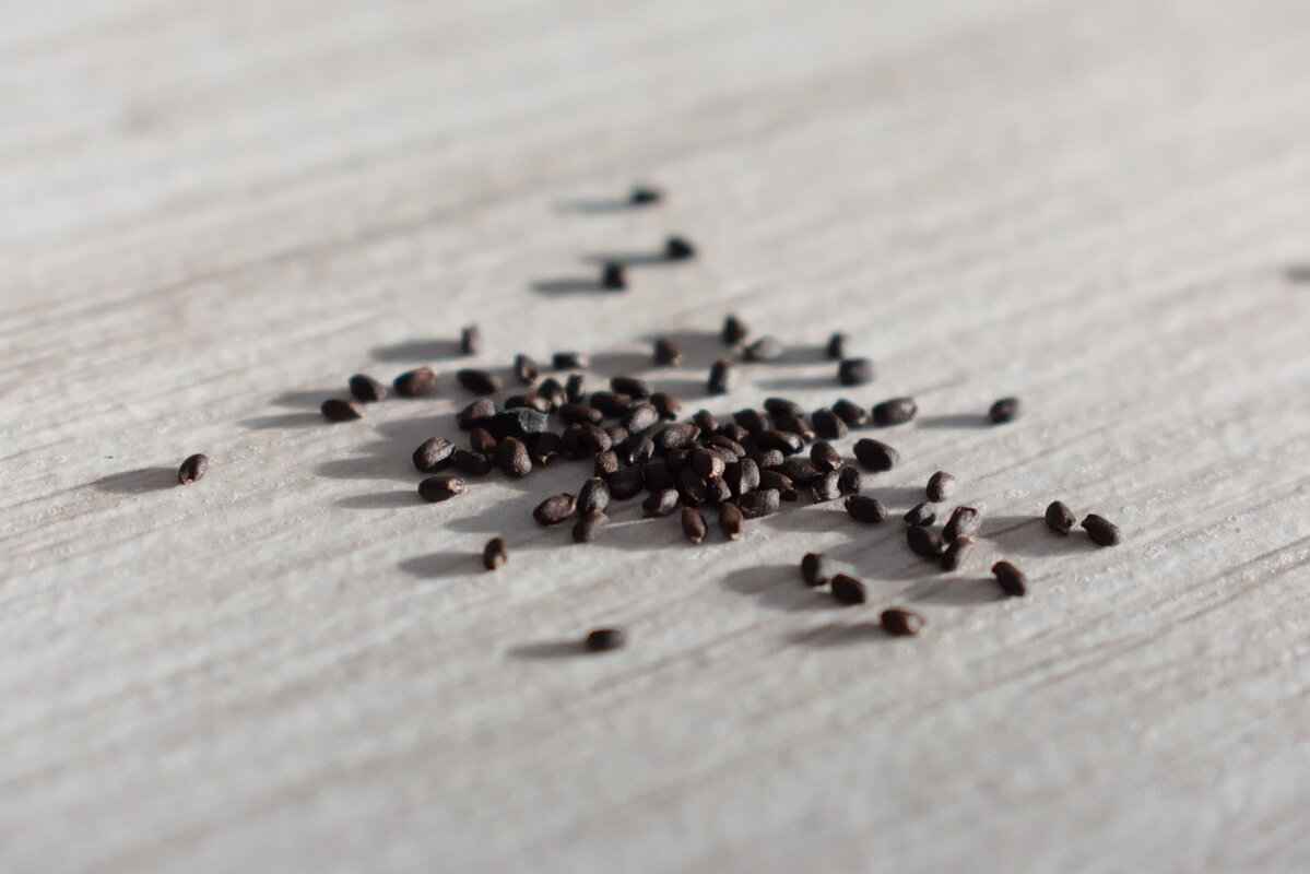 How to Use Basil Seeds in Your Diet?