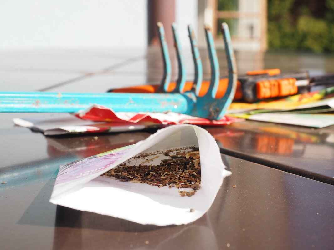 Flax Seeds Nutritional Profile: What’s Inside?
