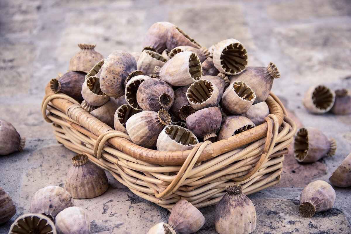 How to Use Flax Seeds in Your Diet?