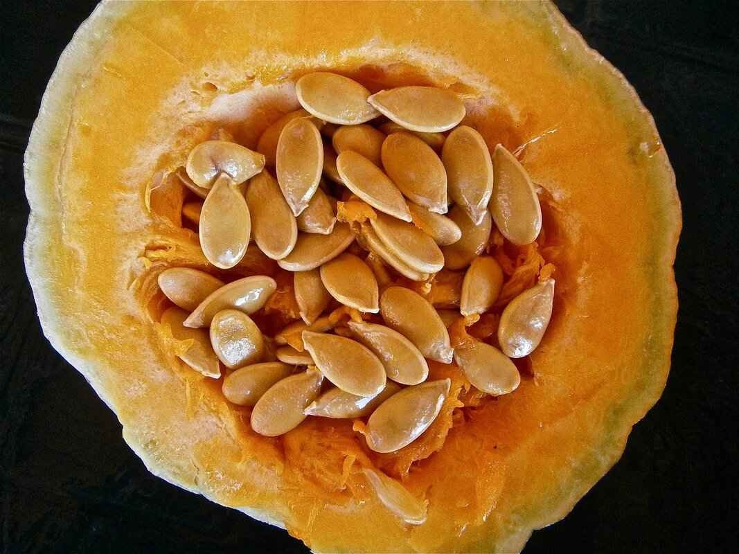 What Are Flax Seeds?