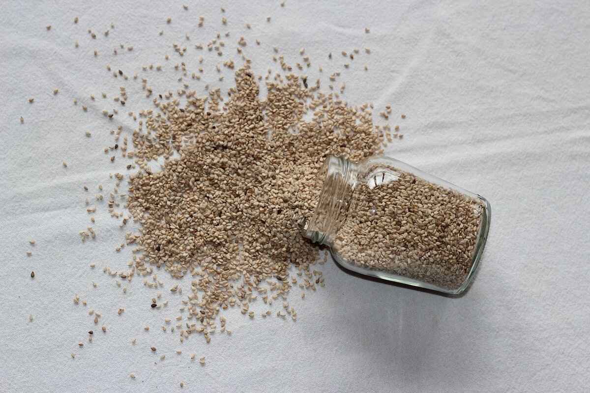 What Are the Antioxidant Properties of Chia Seeds?