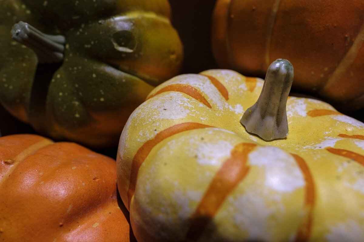 [Tedavi Yöntemleri]