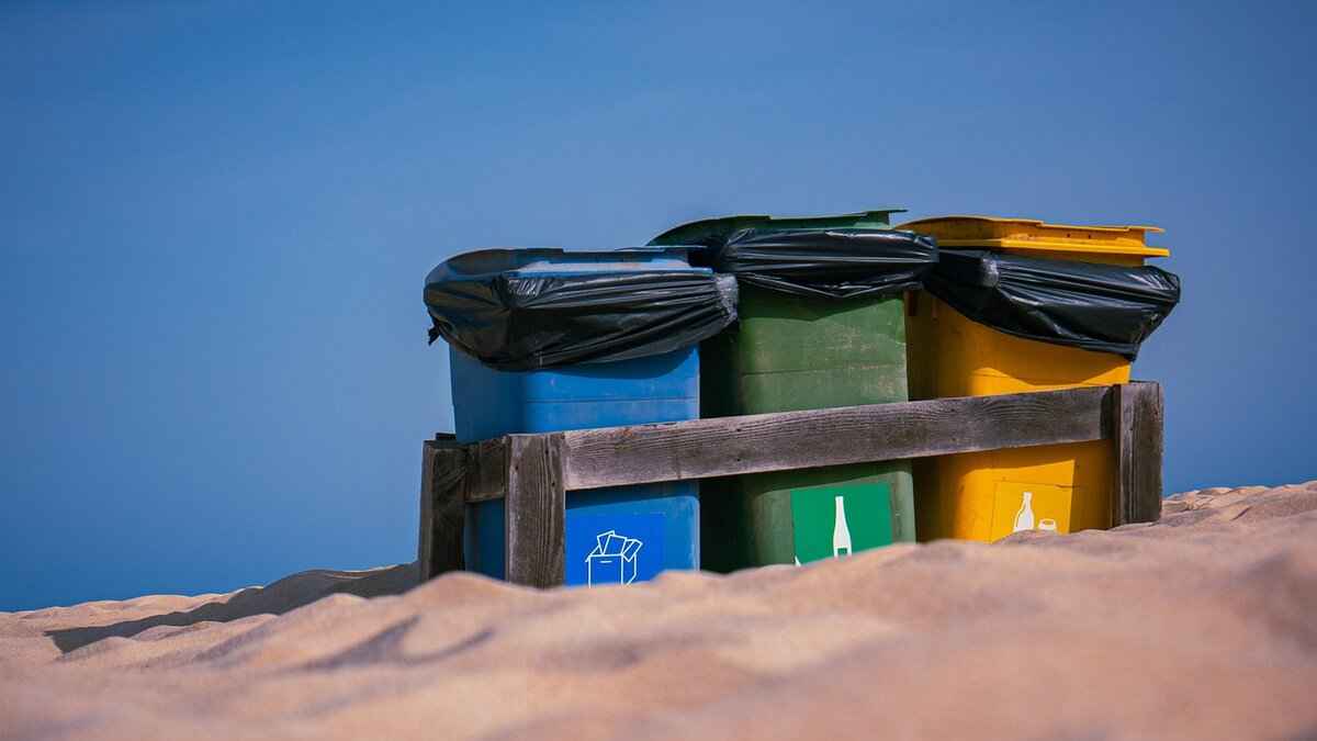 Innovative Solutions to Reduce Food Waste