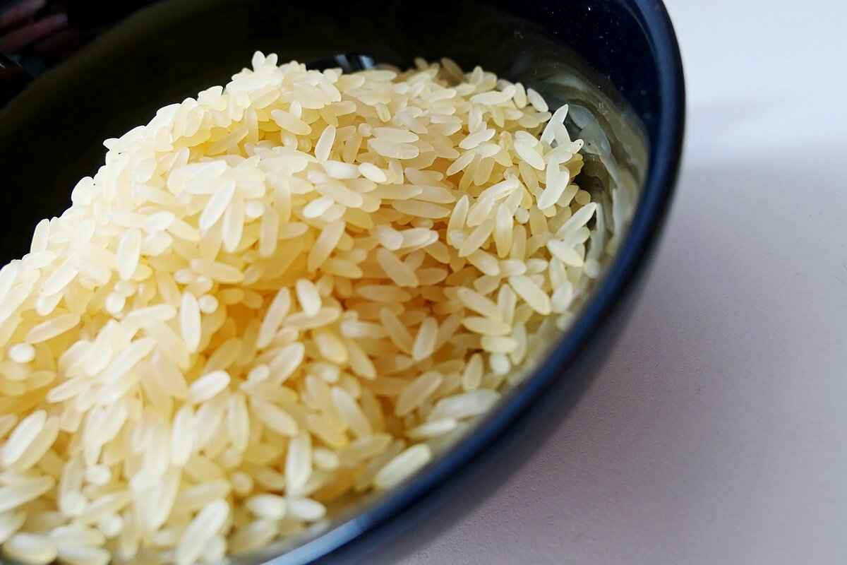 Conclusion: Which Rice Should You Choose?