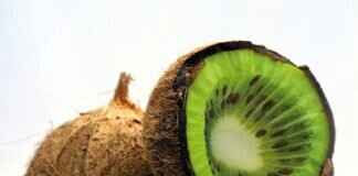 Coconut Oil vs. Peanut Oil: Which is Better for Cooking? Coconut Oil vs. Peanut Oil: Which is Better for Cooking?