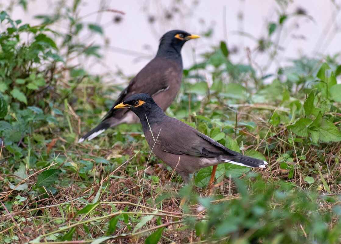 Common Law Marriage in TN: What You Need to Know 6 What Happens if a Common Law Marriage Ends?