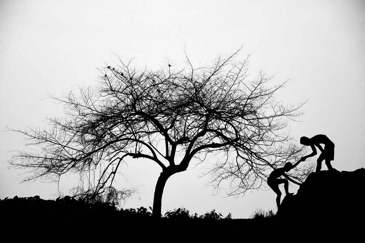 Notable Companies That Went Public in 2004