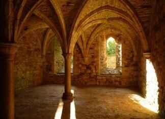 Copperajah Pokémon: Best Moveset, Battle Tactics, and Competitive Strategy Copperajah Pokémon: Best Moveset, Battle Tactics, and Competitive Strategy