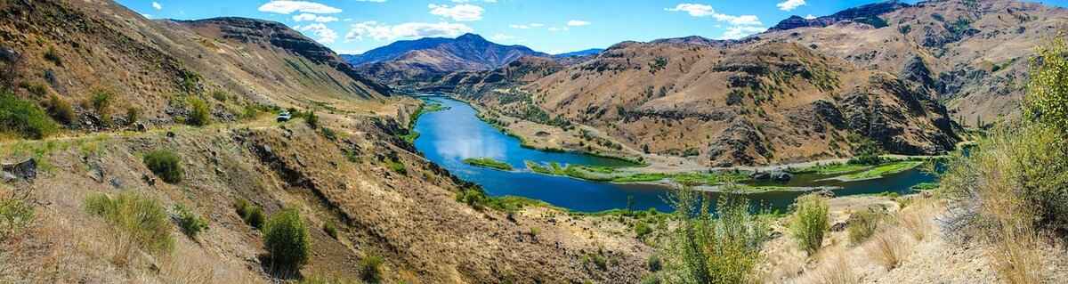 Signs of a Copperhead Snake Bite in Dogs