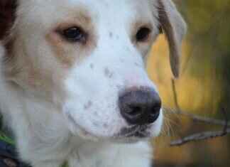 Corinna Kopf – Corinna Kopf’s Net Worth: How She Made Millions on OnlyFans & OnlyFans Leaks Corinna Kopf – Corinna Kopf’s Net Worth: How She Made Millions on OnlyFans & OnlyFans Leaks